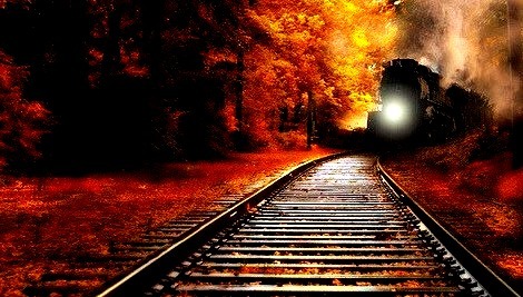 Autumn Train, Minnesota