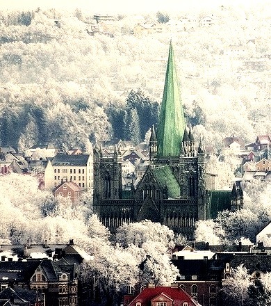Frosty Morning, Trondheim, Norway