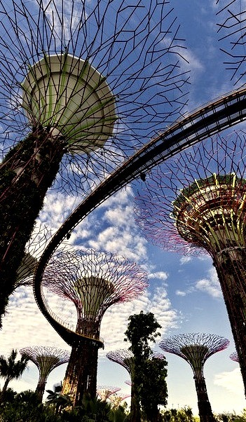 The Supertrees at Garden by the Bay, Singapore