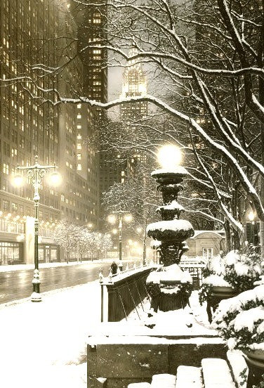 Winter's Night, New York City