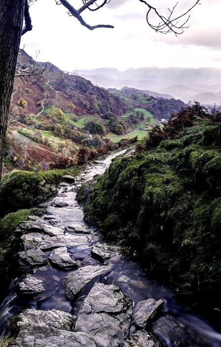 Rocky Stream, Lake District, England