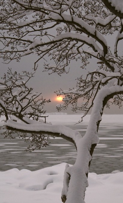 Winter Sunset, Lauttasaari, Finland
