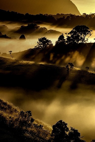 Shadows in the mist on the Atherton Tablelands, Queensland, Australia