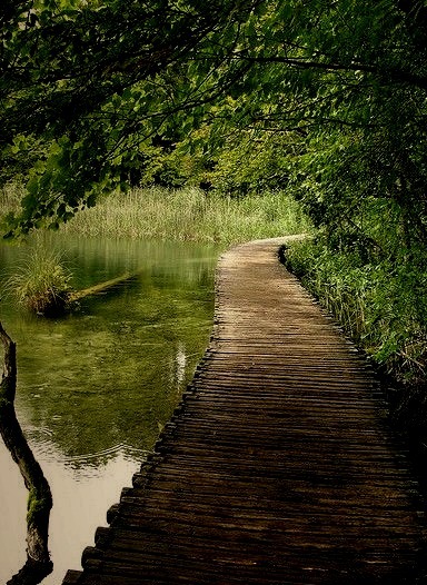The wooden path in Plitvice Lakes National Park, Croatia
