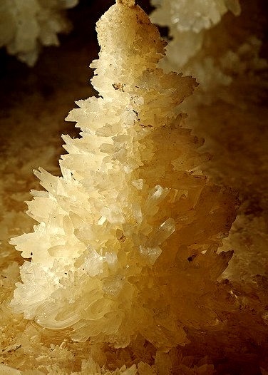 Aragonite crystal pendants inside Glowworm Cave, New Zealand