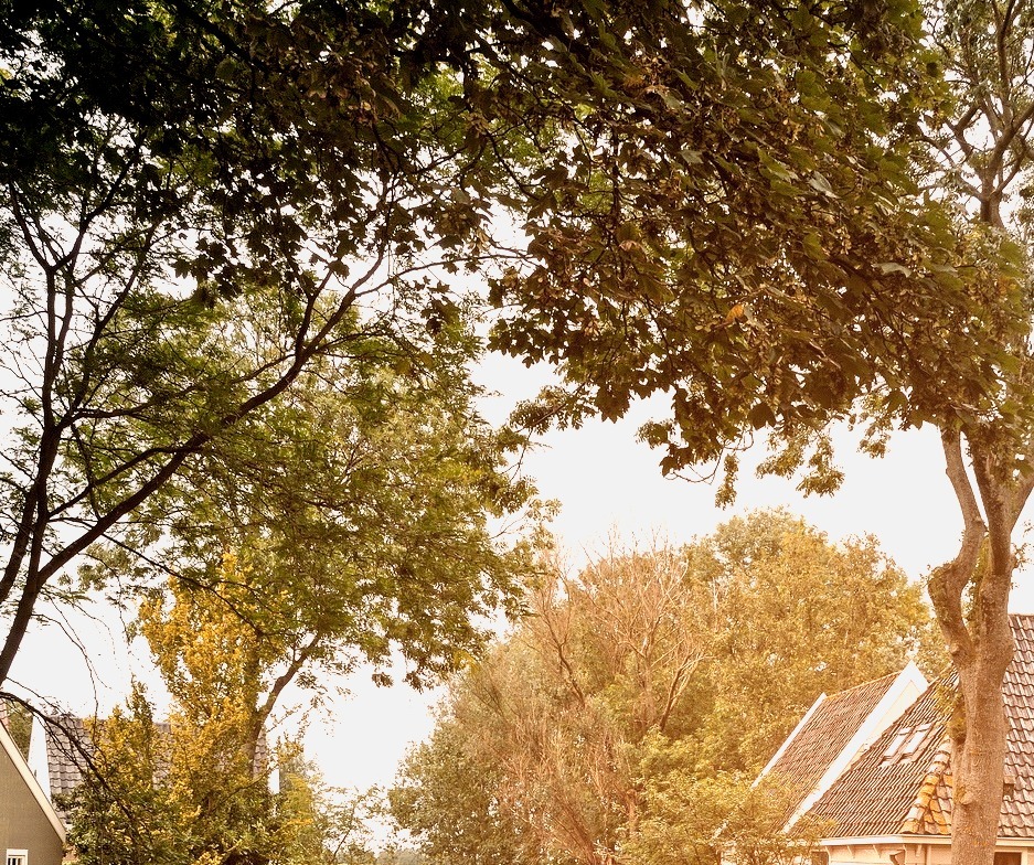 Picturesque village of Broek in Waterland, Netherlands